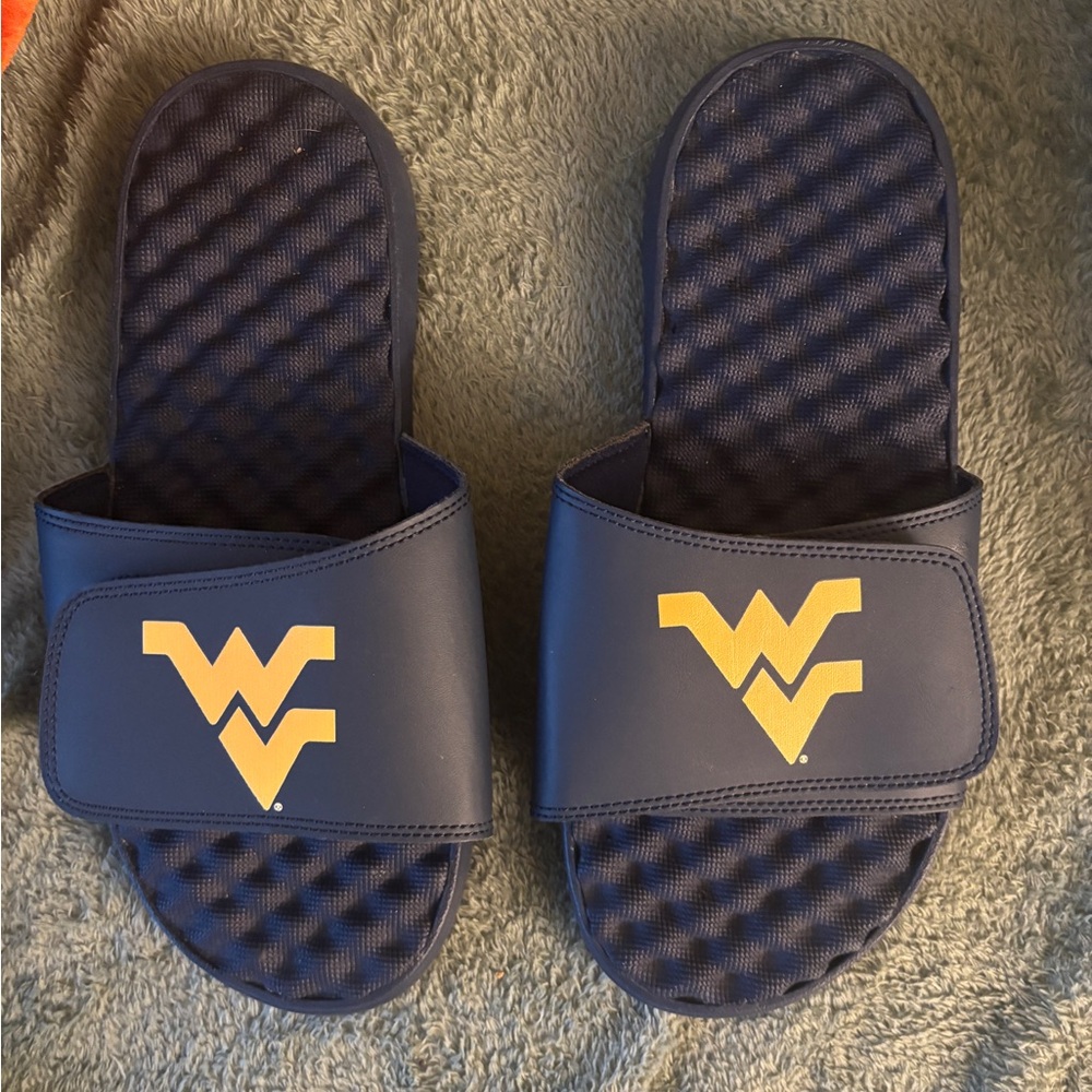 West Virginia University slides